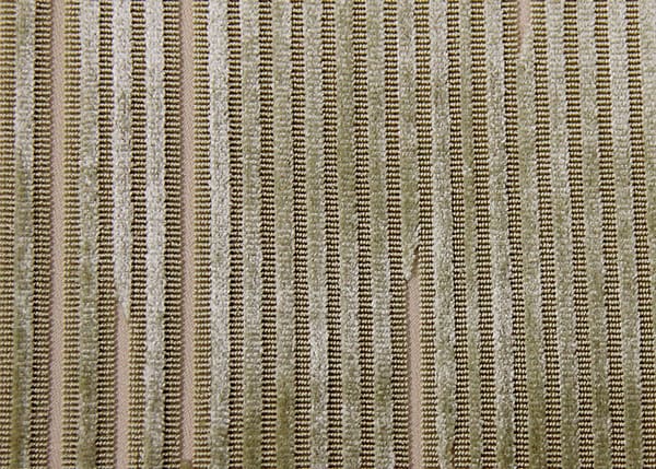 broken-stripe-lichen.jpg